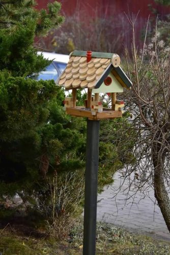 KARMNIK-POWINIEN-BYC-USTAWIONY-W-POBLIZU-KRZEWOW-